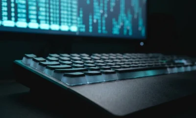 Vigolium open-source AI vulnerability scanner budget caps and extension security model for operators.