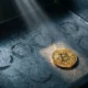 Crypto treasury inflows fall to lowest level since 2024 as Bitcoin dominates.