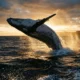 HYPE whale 576,148 tokens Coinbase genesis deposit