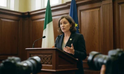 Niamh Smyth Grok Ireland AI Bill