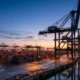 TIPS Laem Chabang container terminal AI IoT digital upskilling Thailand