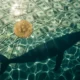 Bitcoin whale accumulation dollar index 13 month high Fed rate decision