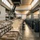 Germany AI tax fraud crackdown real-time VAT e-reporting plan