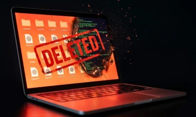 GPT-5.6 Sol file deletion database wipe developer reports