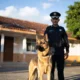 Philippines HB 9948 regional K9 adoption shelter bill