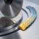 Snapdragon 8 Elite Gen 5 four chip variant split 2026