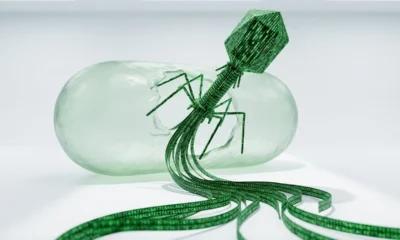 AI designed bacteriophage viruses Evo Stanford Arc Institute