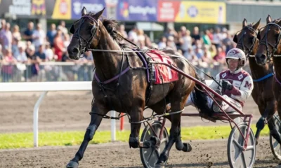 Atlas Ross OSS Gold win Woodbine Mohawk Park stretch