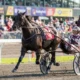 Atlas Ross OSS Gold win Woodbine Mohawk Park stretch