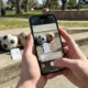 iOS 27 Beta 5 iPhone camera Siri mode visual intelligence