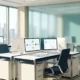 Shaffra Azerbaijan AI hub autonomous workforce expansion