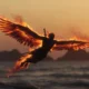 Haze Seas Phoenix Rework: What Hybrid and Full Forms Actually Do
