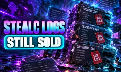 StealC infostealer logs after Operation Endgame raid