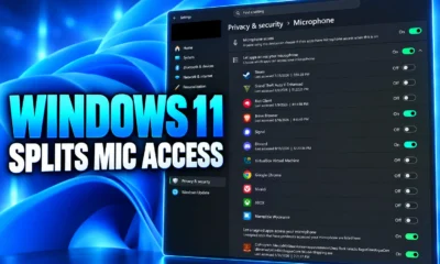 Windows 11 per-app camera microphone desktop app controls