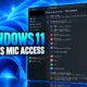 Windows 11 per-app camera microphone desktop app controls
