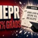 SIEPR AI jobs brief new graduate unemployment 5.6 percent