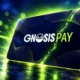 Gnosis Pay delay module bug $1.5 million