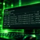 Incus 7.0 LTS support until June 2031