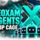 NeoXam Agents ship regulator cage June 2026