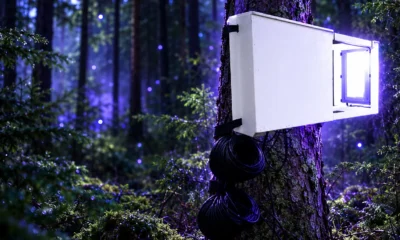 TDC NET butterfly cameras need another summer