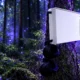 TDC NET butterfly cameras need another summer