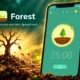 Forest focus app UBC neurodivergent student study