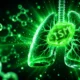 Rentosertib Phase IIa still no FDA approval